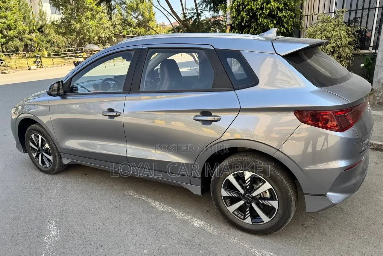 BYD E2 43 kWh 94 hp FWD 2024 Gray