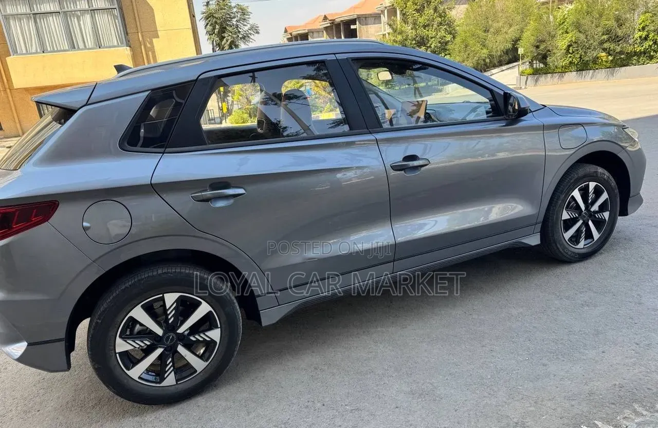 BYD E2 43 kWh 94 hp FWD 2024 Gray