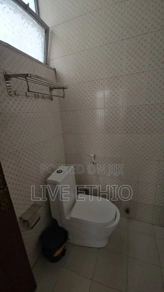 Furnished 1bdrm Apartment in Bole for rent