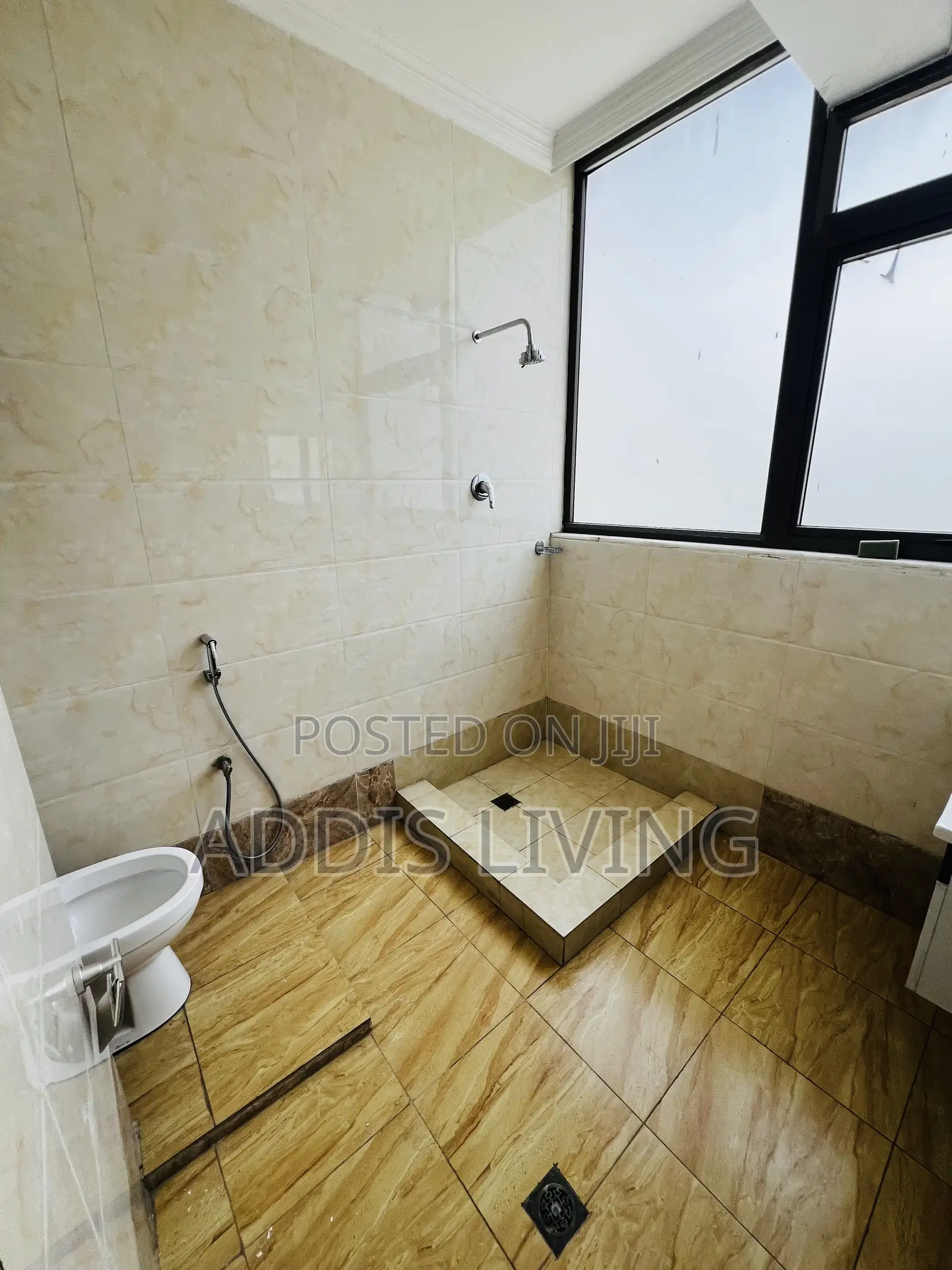 Furnished 3bdrm Apartment in Bole for rent
