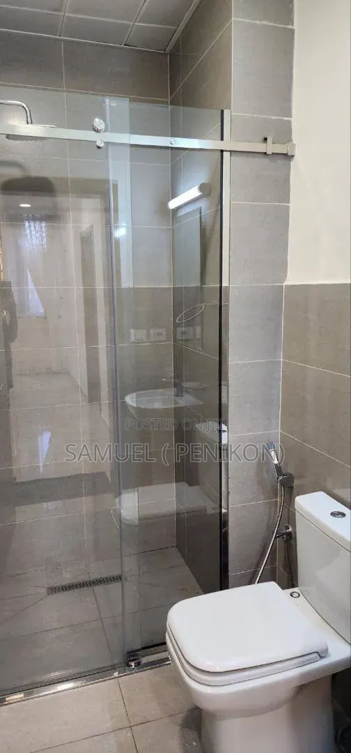 Furnished 2bdrm Apartment in Alsam Real Estate, Lideta for rent