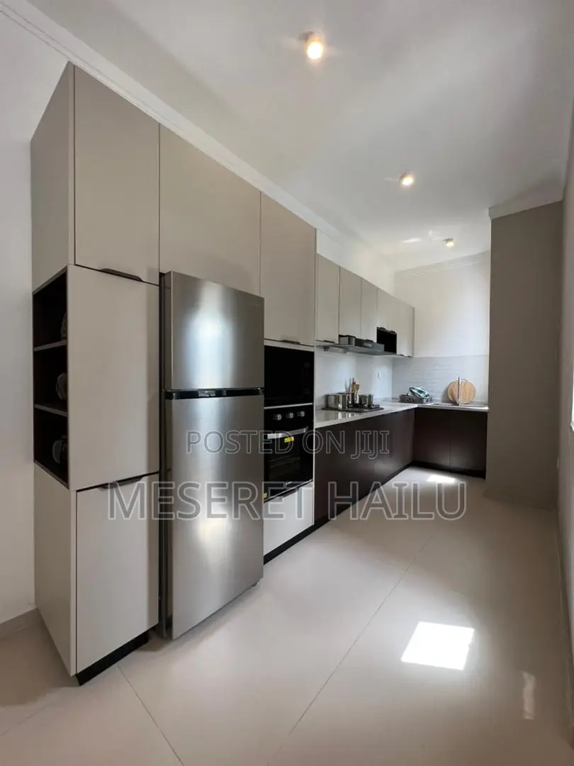 Furnished 2bdrm Apartment in Bola Atelas, Bole for rent