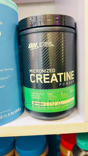 120 Servings 600g Optimum Nutrition Micronized Creatine Monohydrate
