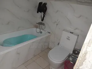 Furnished 3bdrm House in East Shewa for sale