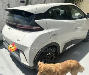 BYD Seagull 2025 White