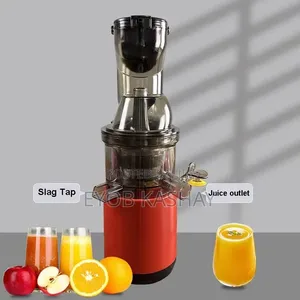 Sokany Siow Juicer