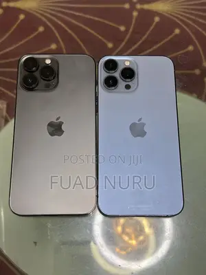 Apple iPhone 13 Pro Max 256 GB Gray