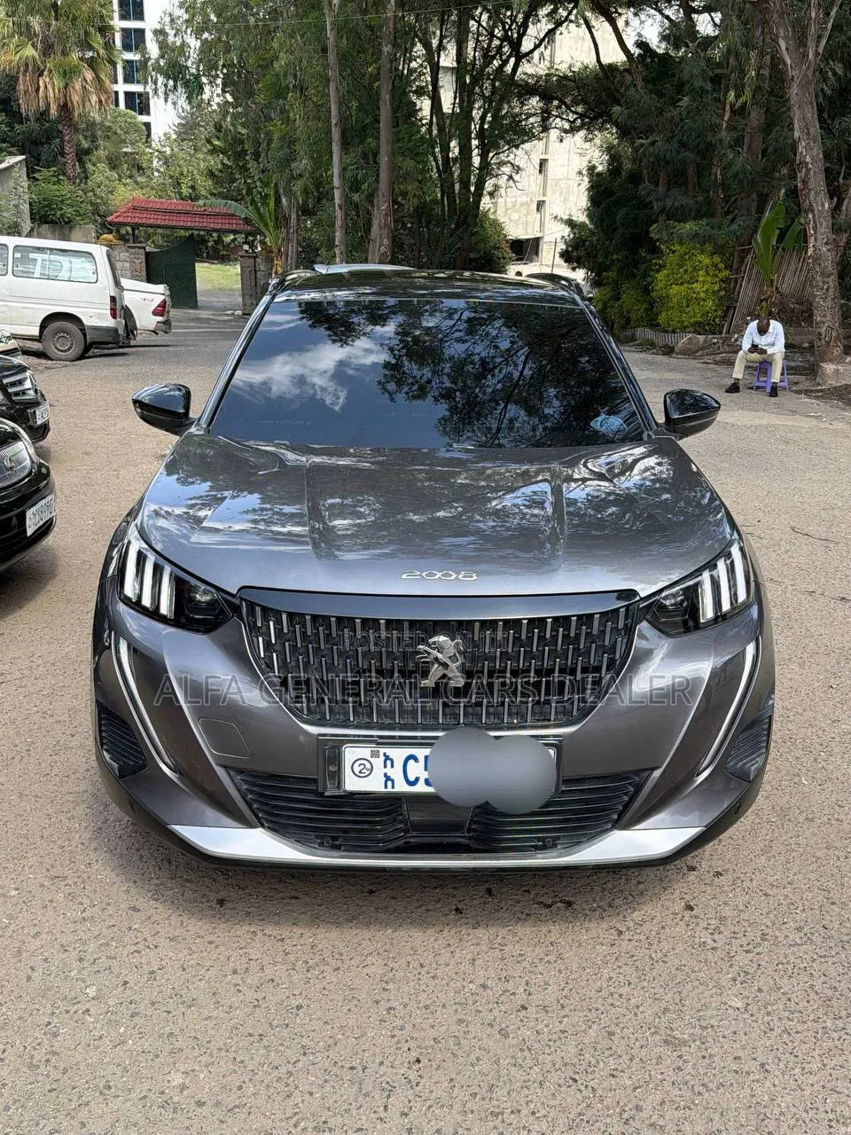 Peugeot 2008 2023 Gray