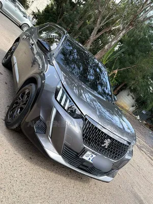 Peugeot 2008 2023 Gray