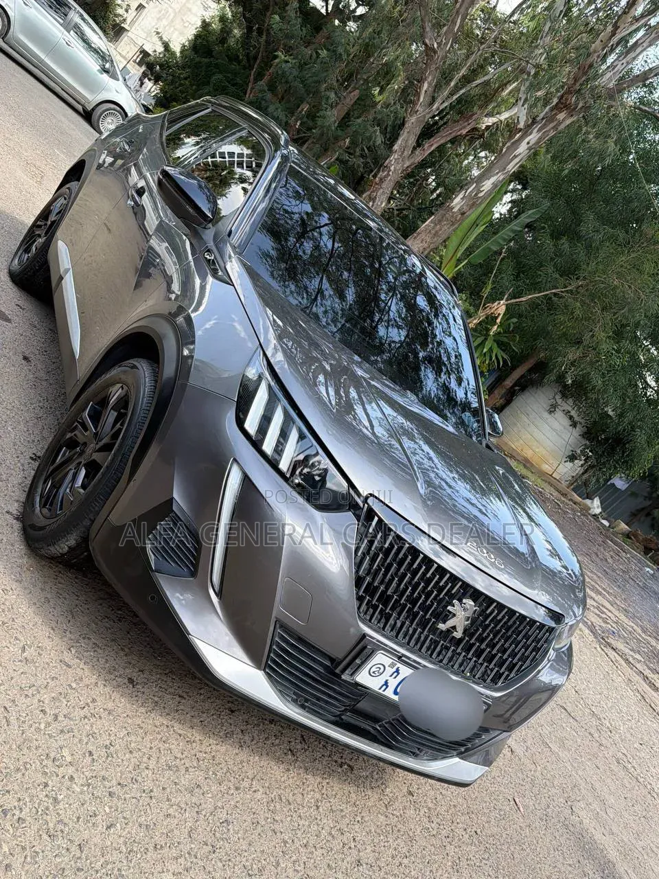 Peugeot 2008 2023 Gray