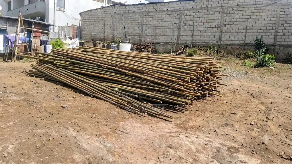 Bamboo Poles