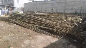 Bamboo Poles