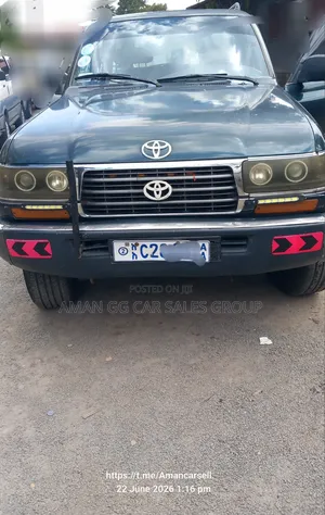 Toyota Land Cruiser 1993 Gray