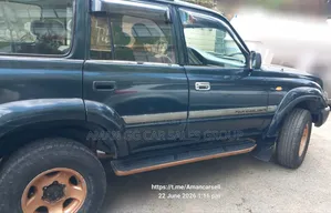 Toyota Land Cruiser 1993 Gray