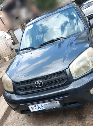 Toyota RAV4 2006 Gray