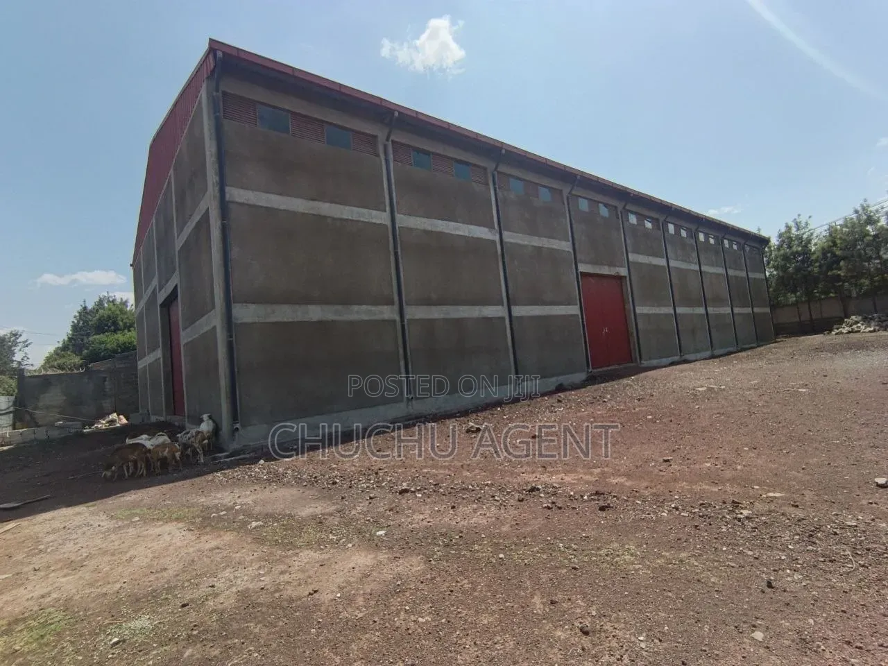Big Warehouse Rent Gelan Sheger City