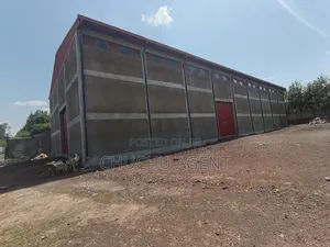 Big Warehouse Rent Gelan Sheger City