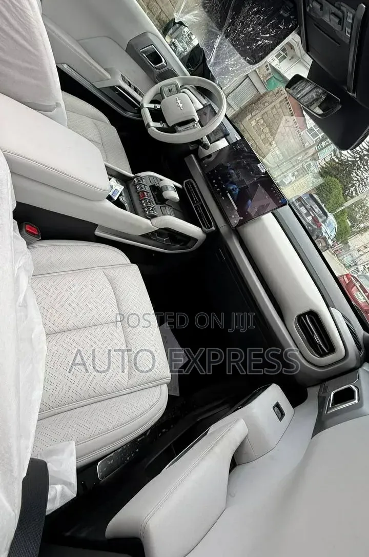 New BYD Leopard 3 2025 Green