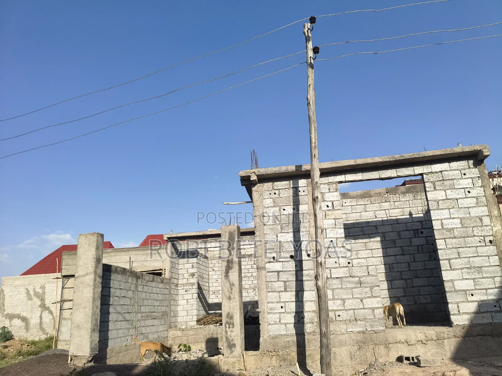 Lands for Sale