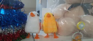 Toy of Birds for Children