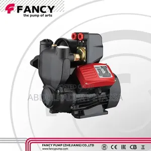Automatic Buster Water Pump