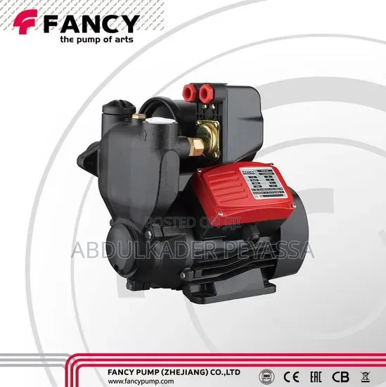Automatic Buster Water Pump