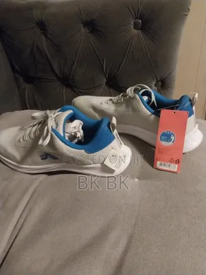 Shoes Size 46