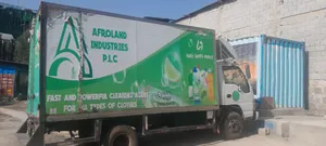 Isuzu NPR With Container