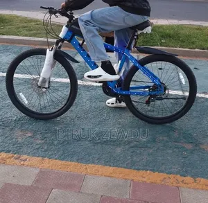 Modern Blue Mountain Bike – Dual Disc Brakes Front Suspension