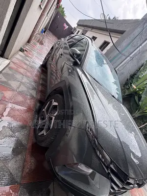 Hyundai Tucson Sport 2021 Gray