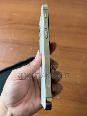 Apple iPhone 12 Pro 128 GB Rose Gold
