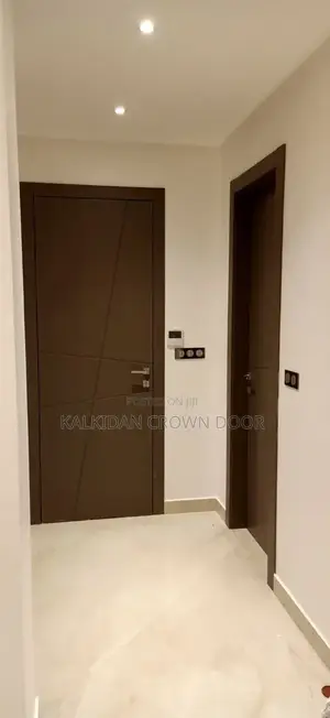 Luxury Door