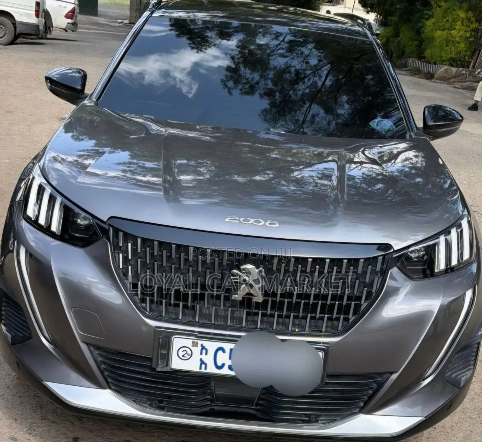 Peugeot 2008 2022 Gray