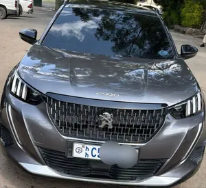 Peugeot 2008 2022 Gray