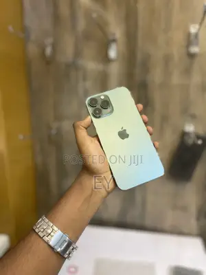 Apple iPhone 13 Pro Max 256 GB Green