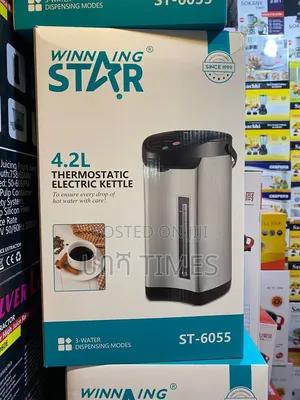 Winning Star 4.2l Thermostatic Electric Kettle Hot Water Dispenser