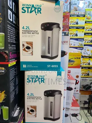 Winning Star 4.2l Thermostatic Electric Kettle Hot Water Dispenser