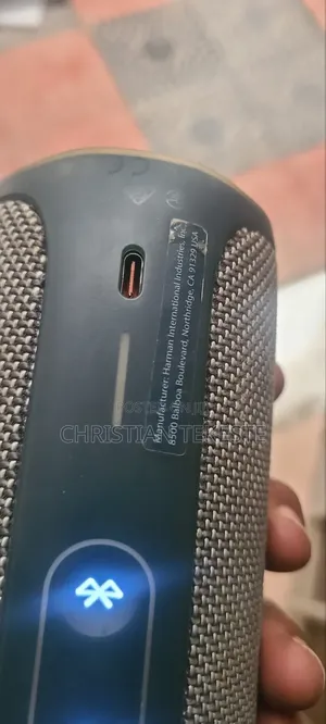 Original JBL Flip 5