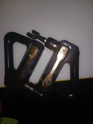 Bluerdea Massager