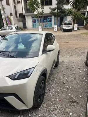 BYD Seagull 2024 Pearl