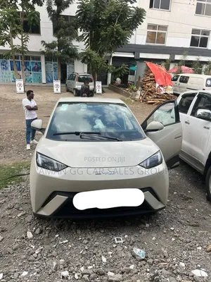 BYD Seagull 2024 Pearl