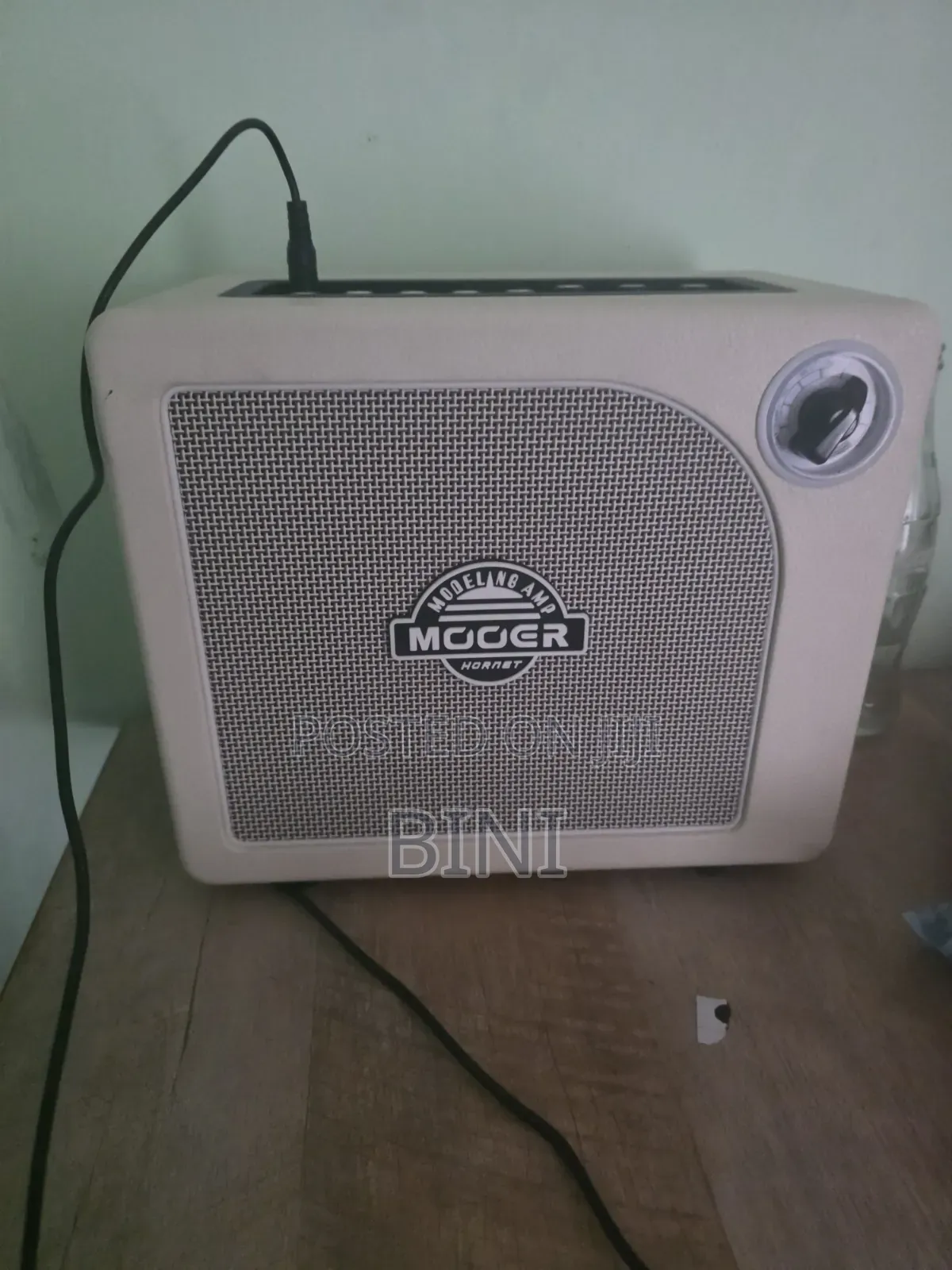 Electric/Bass Amplifier