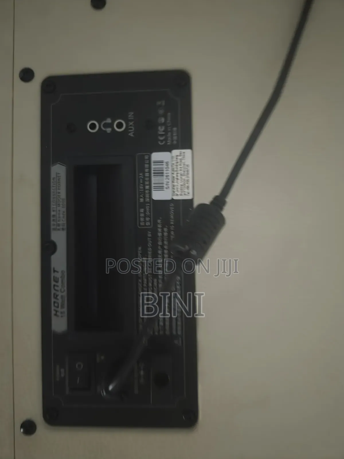 Electric/Bass Amplifier