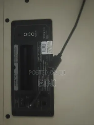 Electric/Bass Amplifier