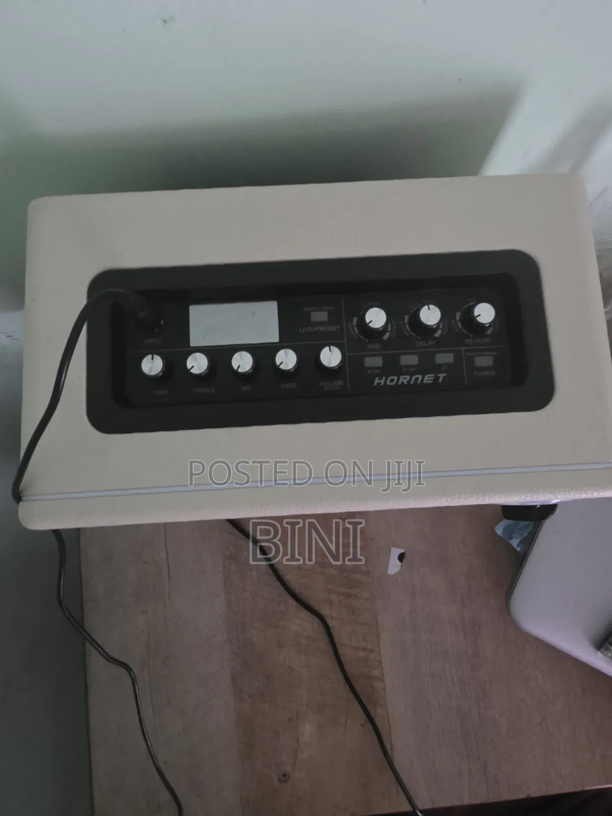 Electric/Bass Amplifier