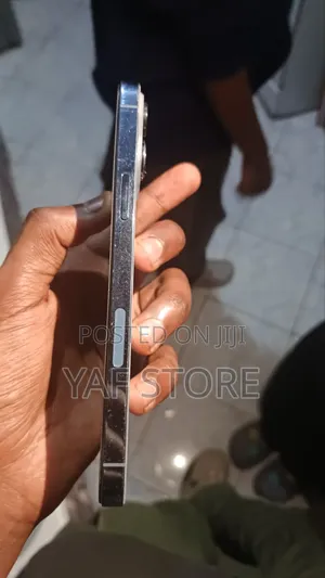 Apple iPhone 13 Pro Max 256 GB Gray