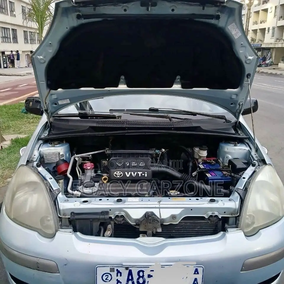 Toyota Vitz 2004 Green