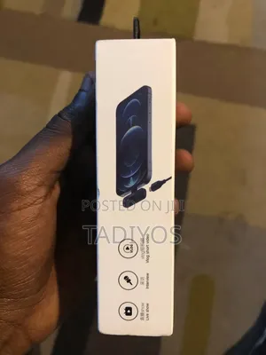  Wireless Mic