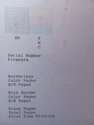 Epson 3210