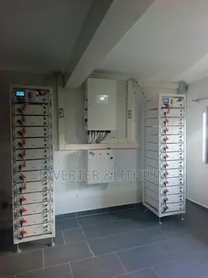 60kw Hybrid Inverter Lithium Ion Battery / Three Phase Inverter/